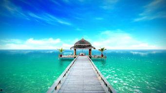 大海的旅行爆料视频,跟随旅行者足迹,揭秘海洋奇观之旅 第3张 大海的旅行爆料视频,跟随旅行者足迹,揭秘海洋奇观之旅 第3张