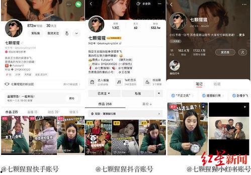 爆料段子系列视频大全,笑料百出，欢乐无限  第1张